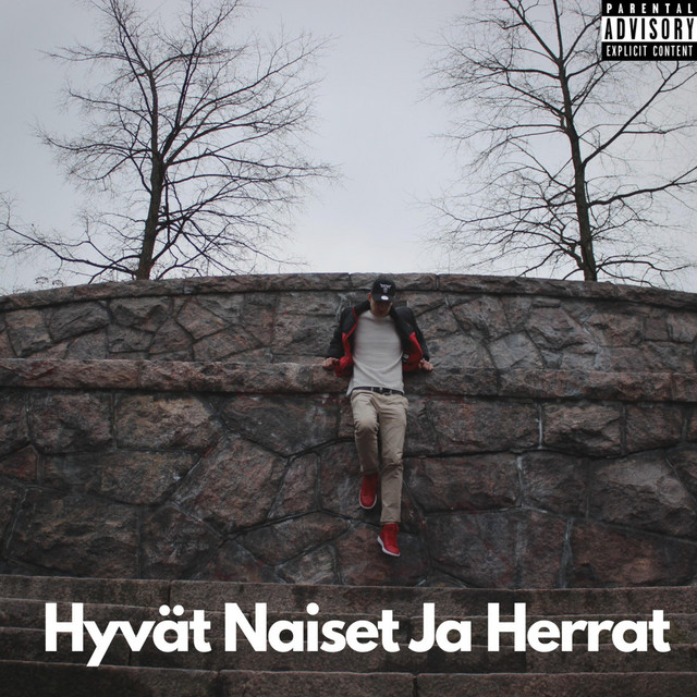 Hyvät Naiset ja Herrat cover art