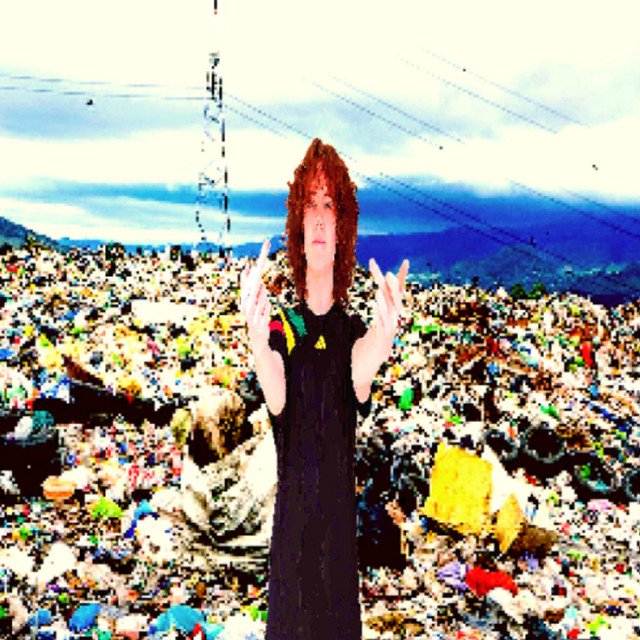 losseplads cover art