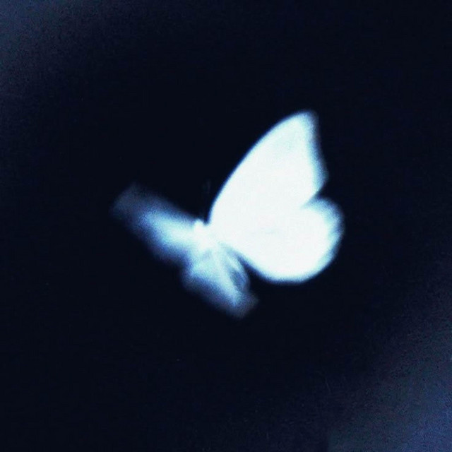 Bittersweet 2 cover art