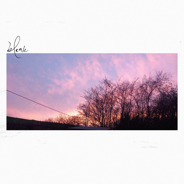 Bleak cover art