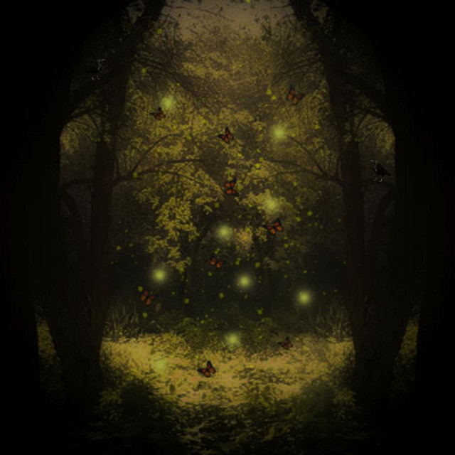 Enchanted cover