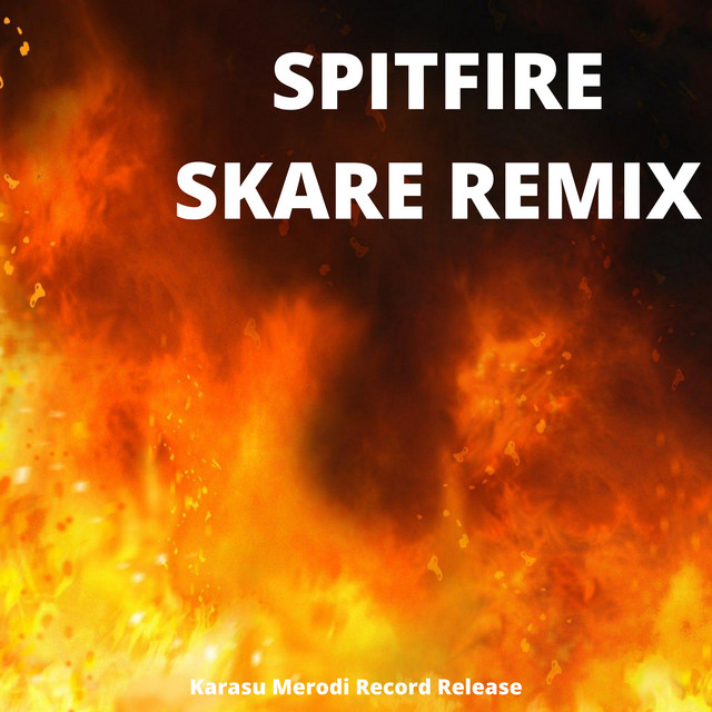Spitfire Skare (Remix) cover