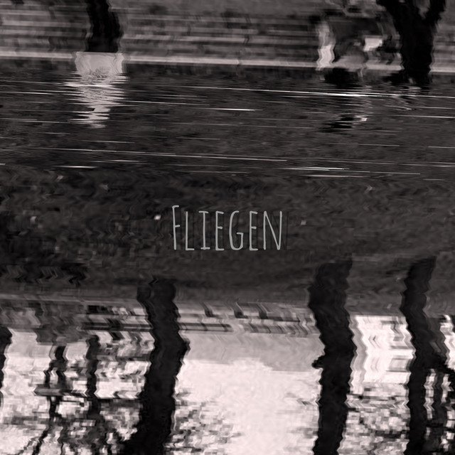 Fliegen cover art