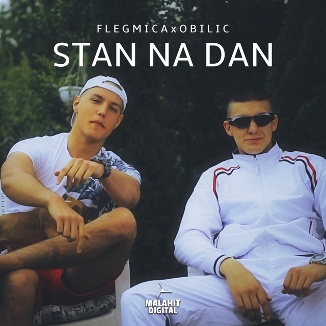 Flegmica