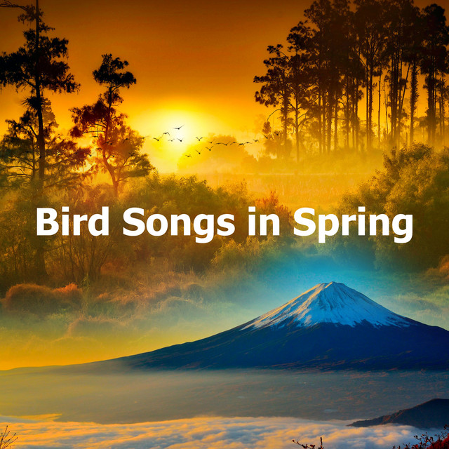 Bird Songs in Spring - Album by Nature Atmospheres | Spotify