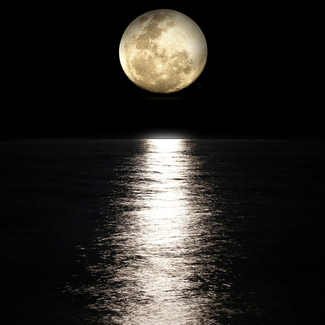 MIDNIGHT SKIES cover art
