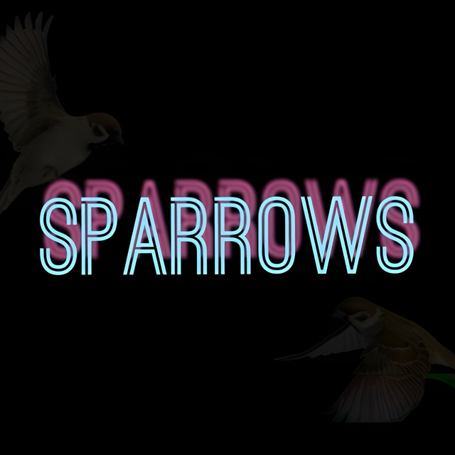 Sparrows