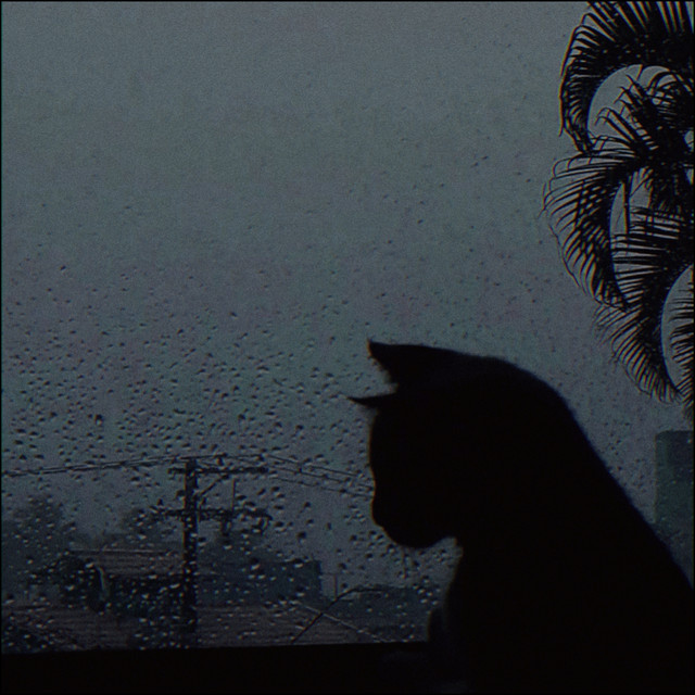 Обкладинка firegun — Kill Me