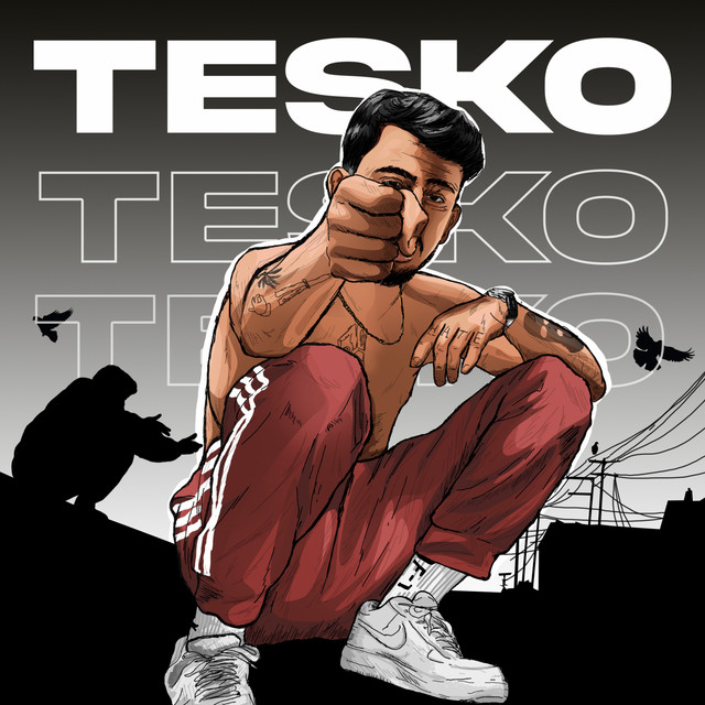 Teşko cover art
