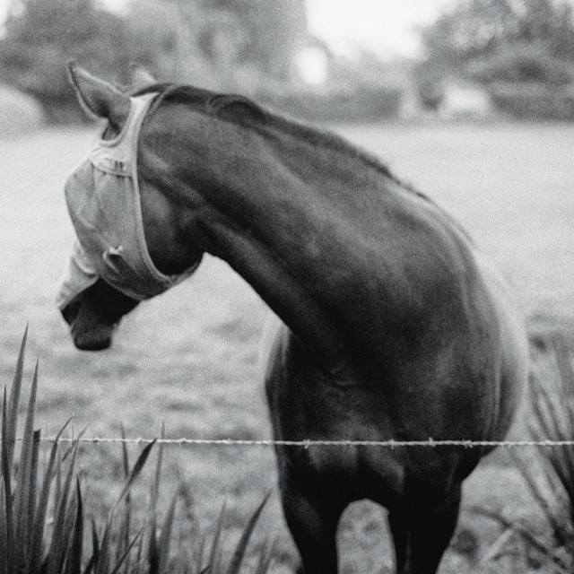Kristin McClement Photo