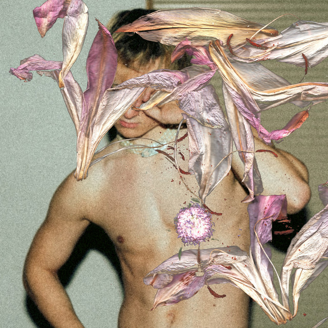 fremde bleiben cover art