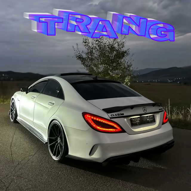 tortito