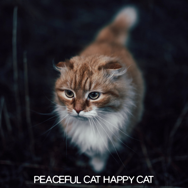 Peaceful Cat Happy Cat cover art