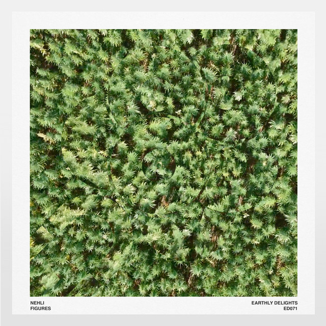 Reverse Triangle album art