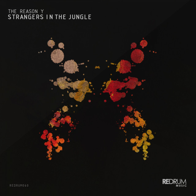 Strangers in the Jungle - Original Mix cover art