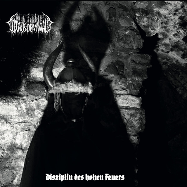Disziplin des hohen Feuers cover art