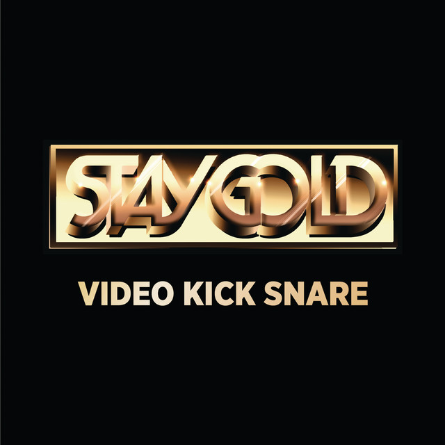 Video Kick Snare - Dada Life Remix cover art