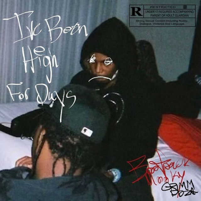 I've Been High for Days cover
