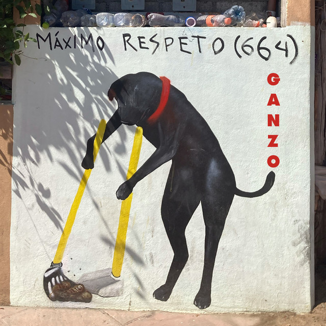 Maximo Respeto cover art