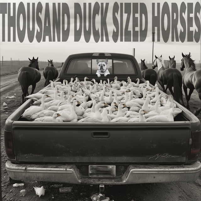 Thousand Duck Sized Horses cover art
