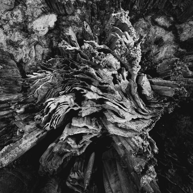 Обкладинка: Rigor Mortis — Velja