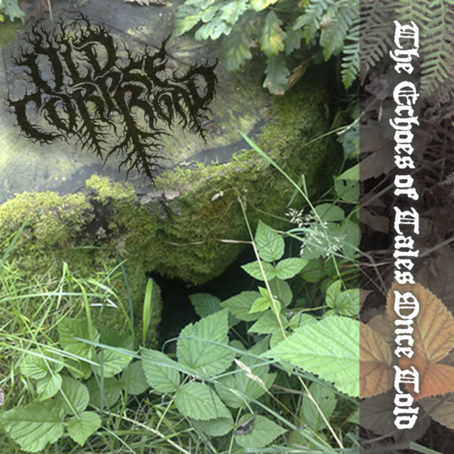 The Echoes of Tales Once Told cover art