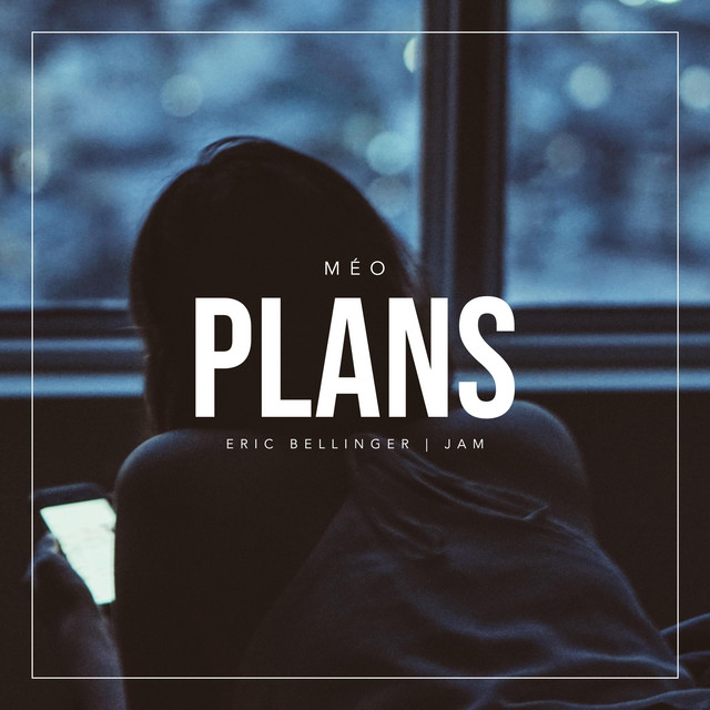 Plans cover art