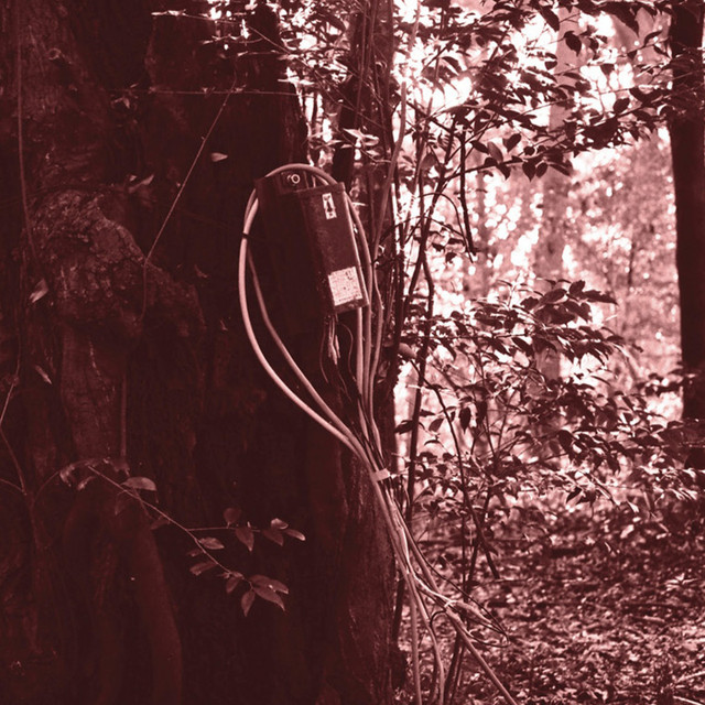 Deeply Involved cover art
