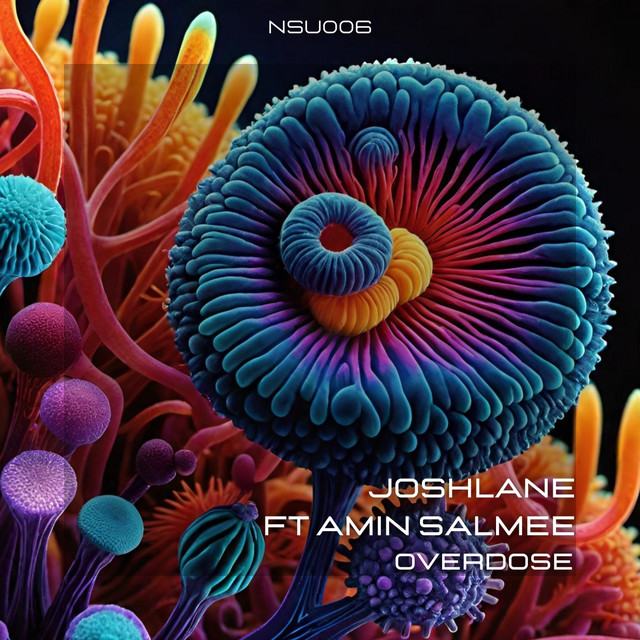 Overdose - Radio Mix