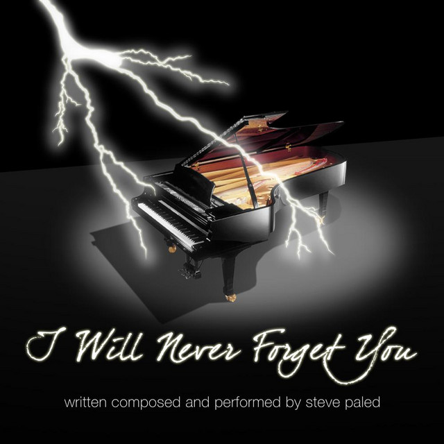 I Will Never Forget You Song And Lyrics By Steve Paled Spotify