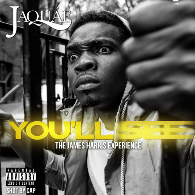 You'll See cover art