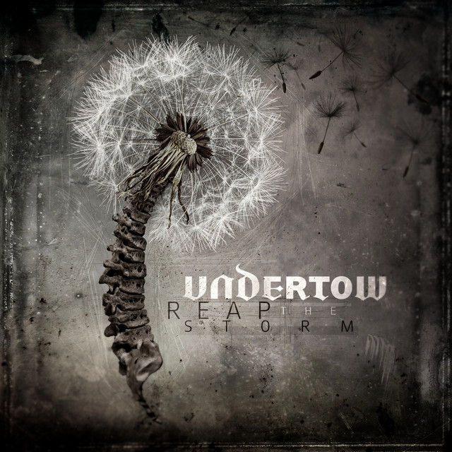 Reap The Storm cover art