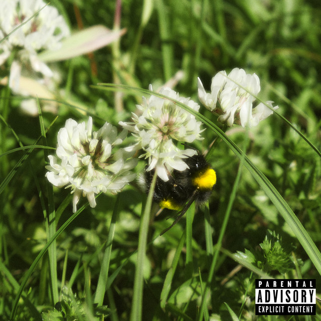Pollen - Single by Arenay | Spotify