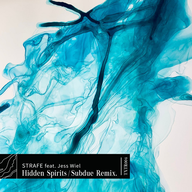 Hidden Spirits / Subdue Remix cover art