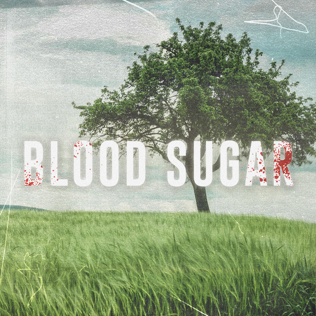 Blood Sugar cover