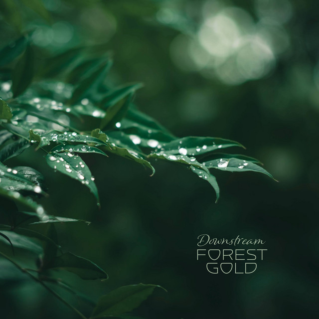 Downstream cover art