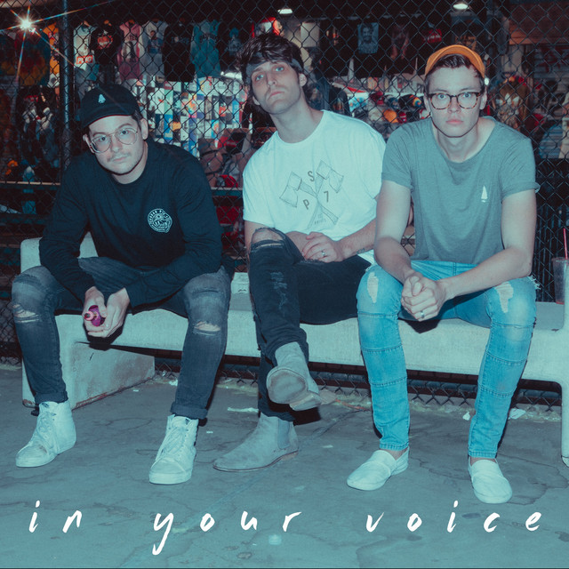 In Your Voice cover art