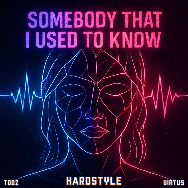 Somebody That I Used To Know - Hardstyle