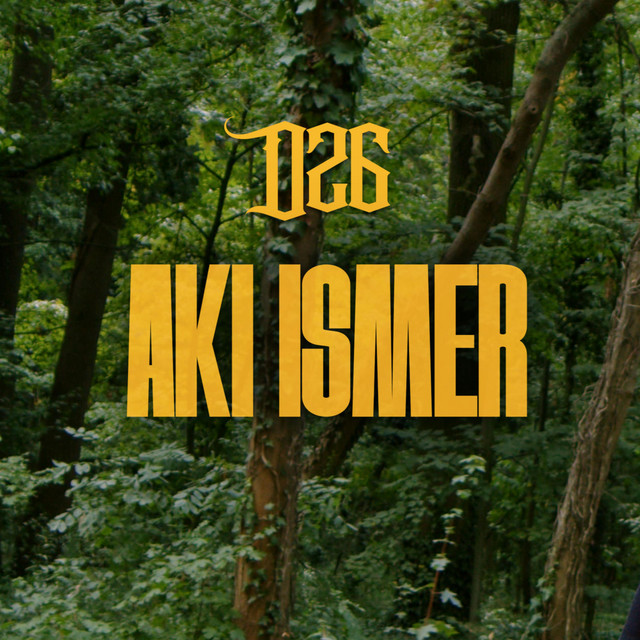 AKI ISMER