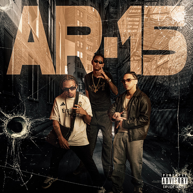 AR 15