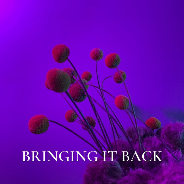 Bringing It Back cover art