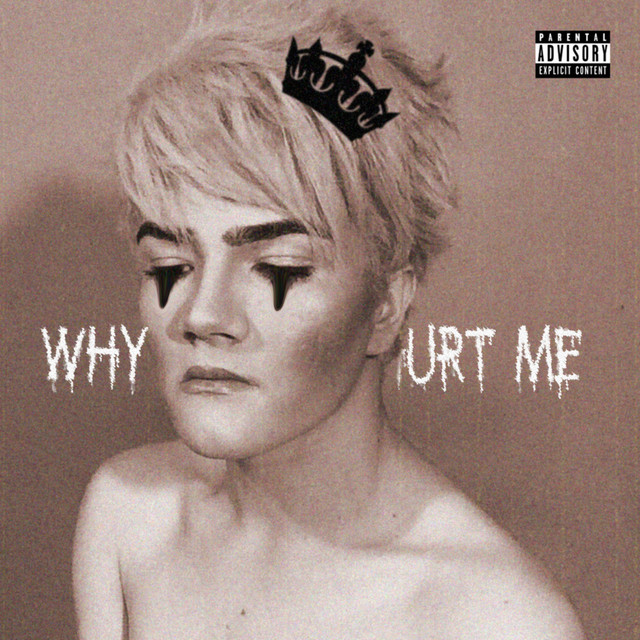 Why Did You Hurt Me cover art