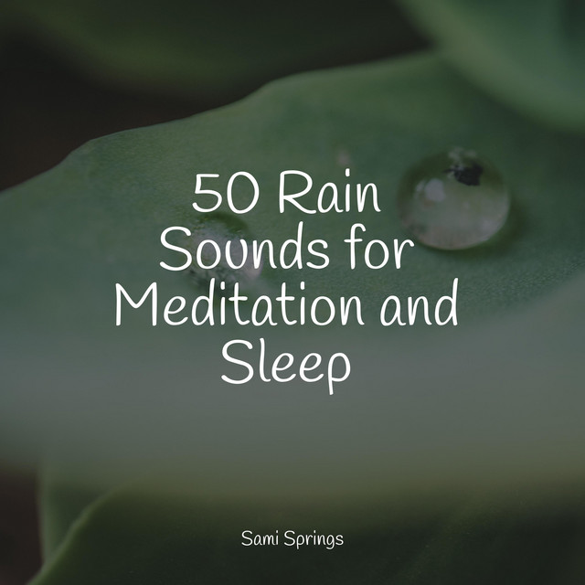 50 Rain Sounds for Meditation and Sleep - Album by Spa | Spotify