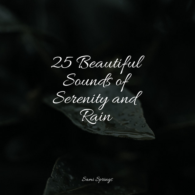 25 Beautiful Sounds of Serenity and Rain - Album by Sound of Rain | Spotify