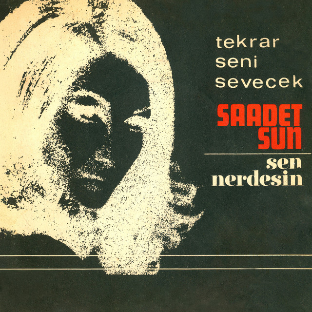 Tekrar Seni Sevecek / Sen Nerdesin cover