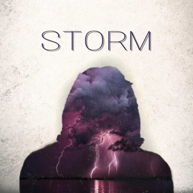Storm cover art