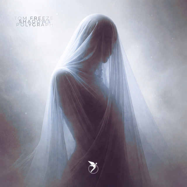 Shadows - Paul Anthonee, KÖNN Remix album art
