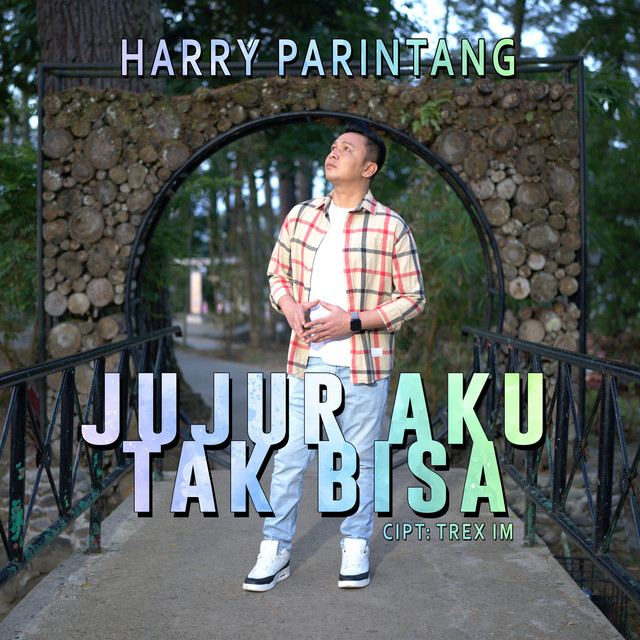 Harry Parintang - Jujur Aku Tak Bisa album image