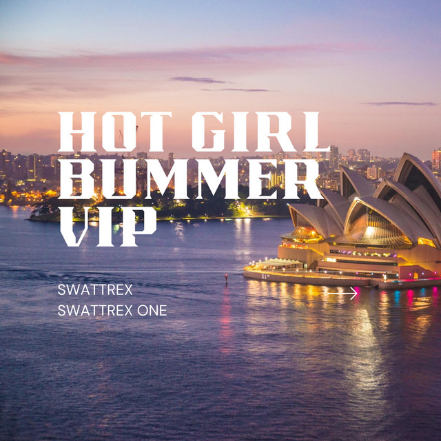 Hot Girl Bummer VIP cover