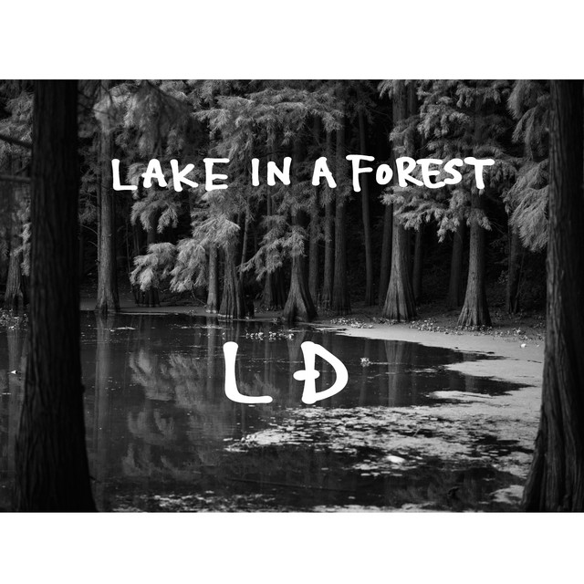 LAKE IN A FOREST cover art